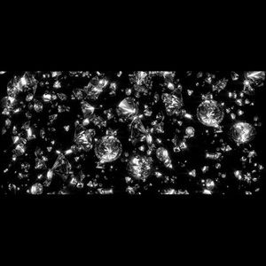 Meet your Posher, Tia